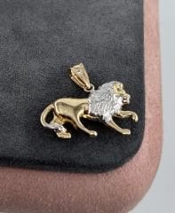 14 AYAR ALTIN ASLAN KOLYE UCU